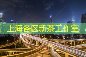 上海相亲角的历史演