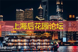 上海现代舞与运动的结合